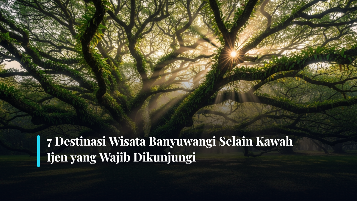 7 Destinasi Wisata Banyuwangi Selain Kawah Ijen yang Wajib Dikunjungi